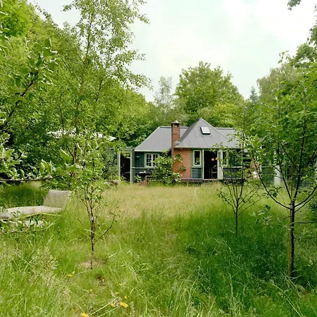 Peaceful Forest At Ordrup In * Fårevejle