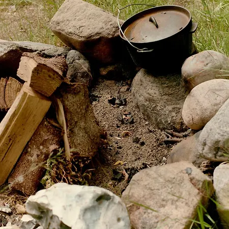 Peaceful Forest At Ordrup In